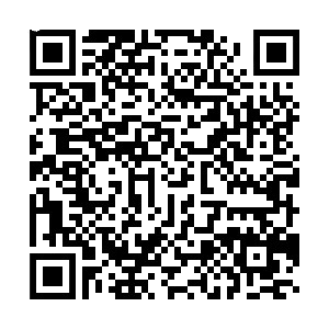 frame-removebg-preview.png